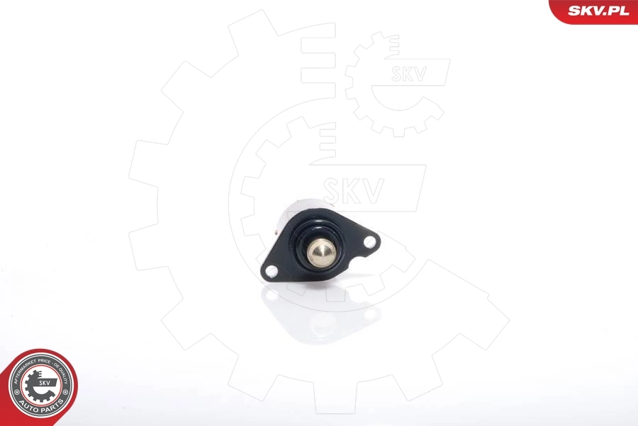 Idle Control Valve, air supply